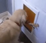 ư衧 -餷Хʸ- [ۤΤܤ]