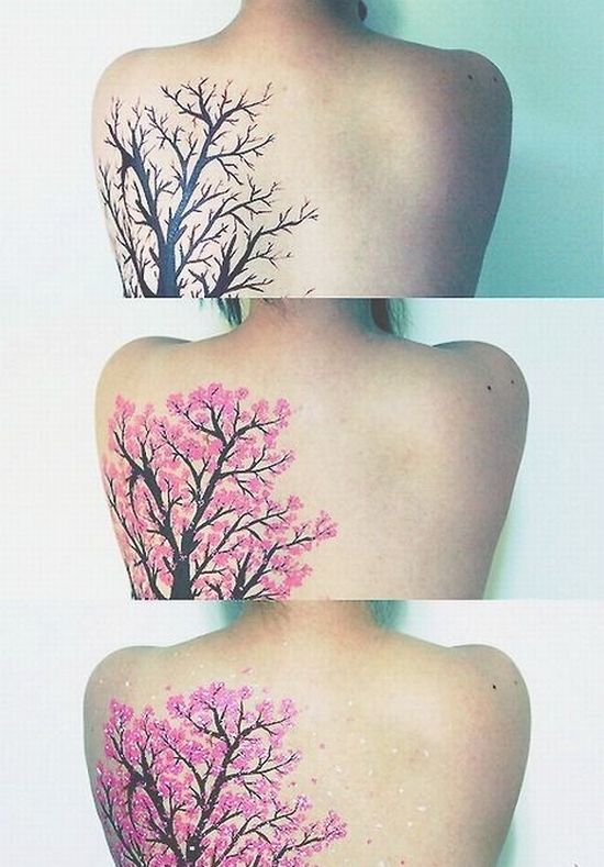 �������ʲ����������� [���⤷��]