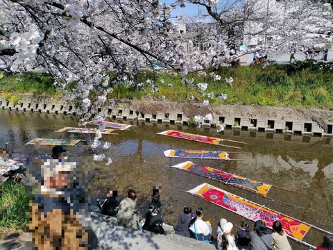 IMG_20250403_132826366s