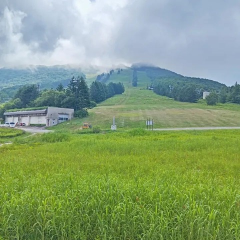 FB_IMG_1754264233593