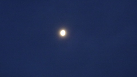 DSC02544