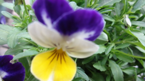 DSC03556