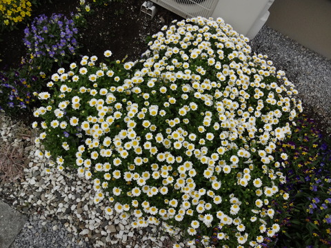 DSC01195