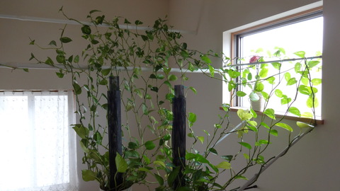 DSC02118
