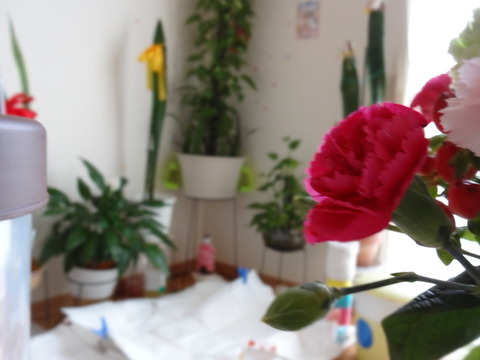 DSC01219