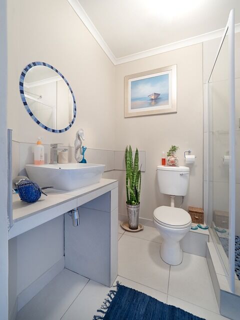 bathroom-3501553_640