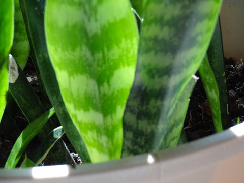DSC01049