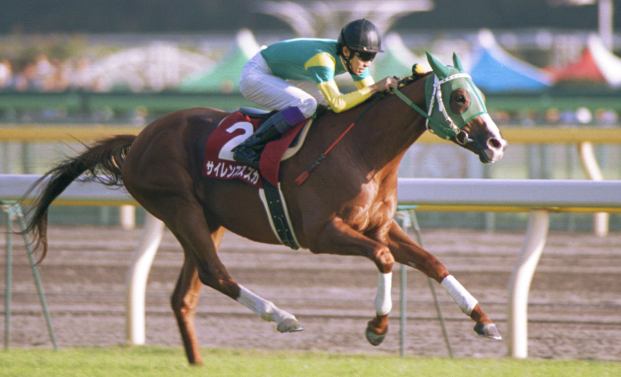 真の怪物ストライカー ポルトガルのでなくブラジルの元祖ロナウドw スポーツ総合ニュースチャンネル スポステ 真の怪物ストライカー ポルトガルのでなくブラジルの元祖ロナウドw スポーツ総合ニュースチャンネル スポステ