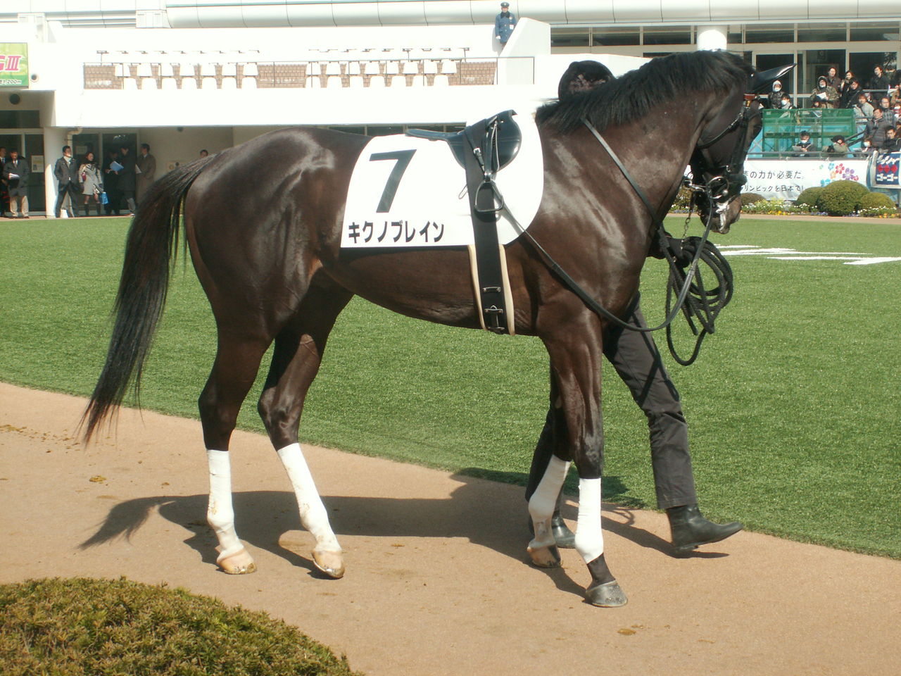 俺達は強い ｆｉｒｓｔｒｏａｄの競馬日記