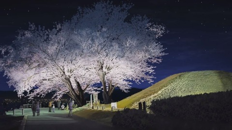 EP.11.v0.1718293204.720p_00_20_42_08_4656