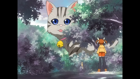 659f7907-2881-4eed-8582-376773637f13