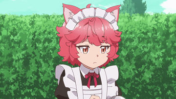 1737050133043687 (1)