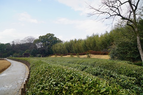 DSC04548