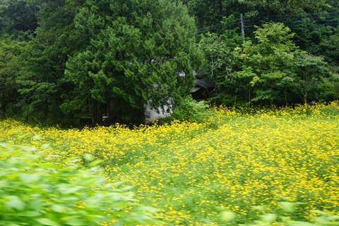 DSC04690