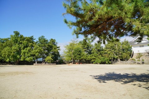 DSC05065