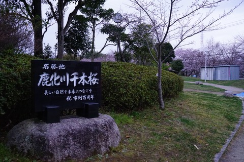 DSC02161
