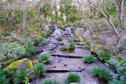 DSC04236