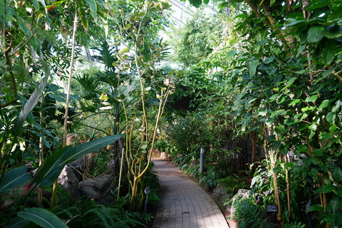 DSC02027