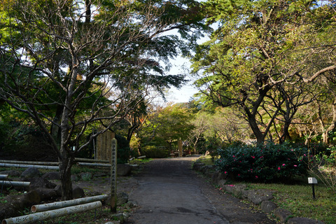 DSC01350