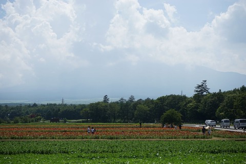 DSC00230