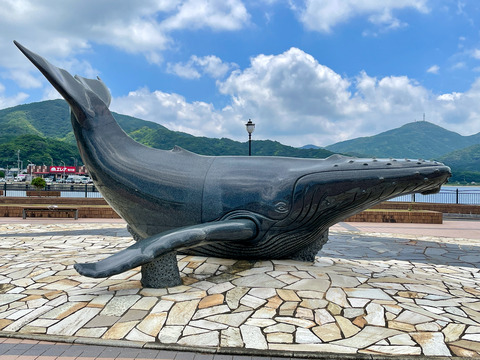 IMG_2663