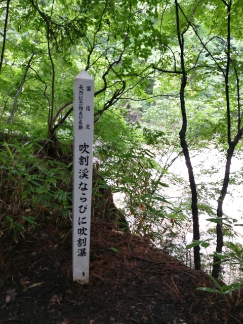 [画像:19429ea9-s.jpg]