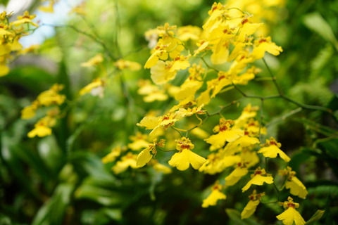 DSC02020