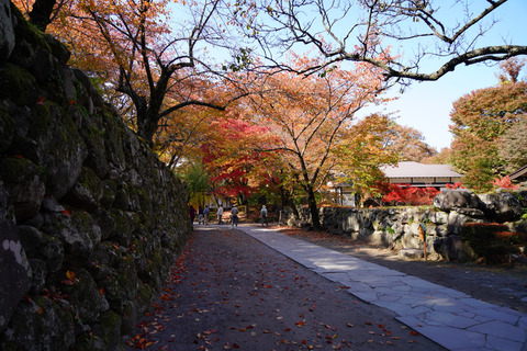 DSC01225