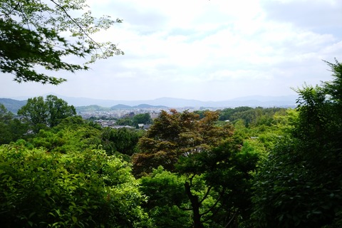 DSC00996