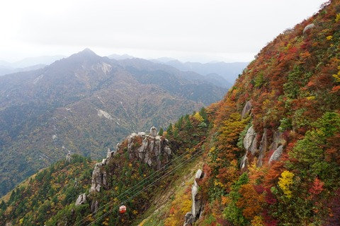 DSC01017
