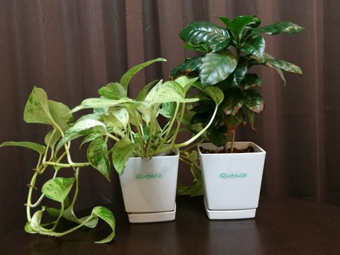 IMG_20170103_195622 (1)