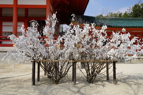 DSC02041