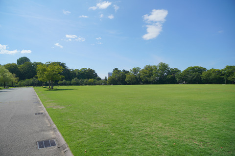 DSC03517