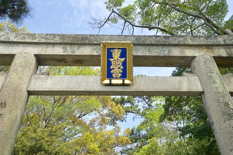DSC04202