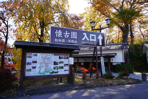 DSC01210