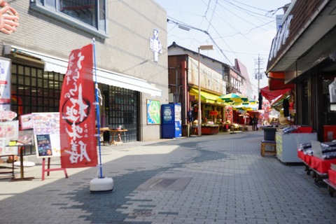 DSC00484