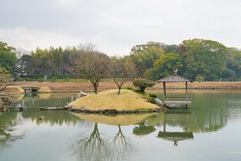 DSC04550
