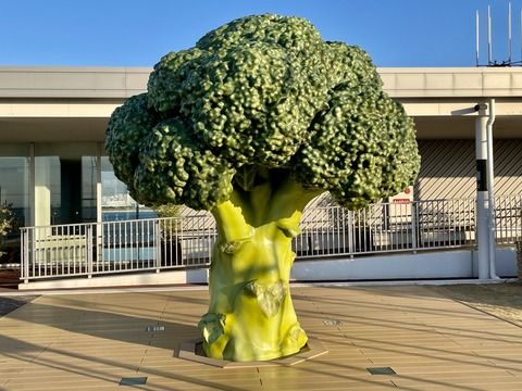 216C07C1-B513-485B-AF09-1911B3F85918