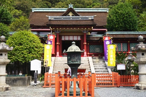 DSC04205