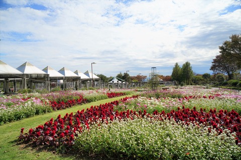 DSC03921