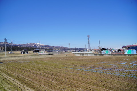 DSC02978