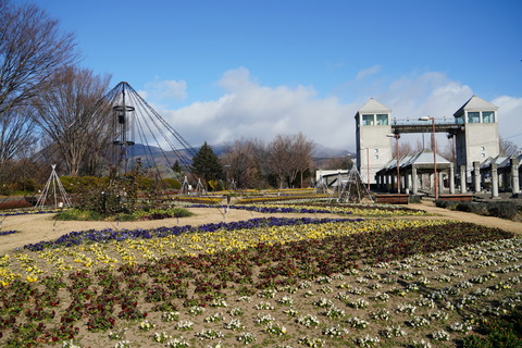 DSC02016