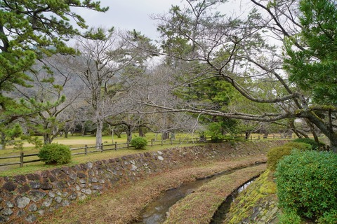 DSC05937