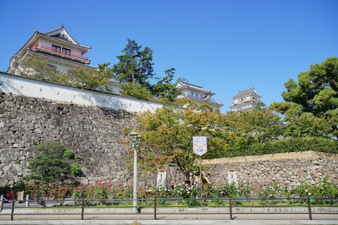 DSC05054