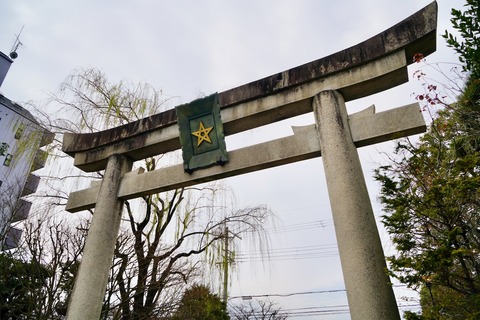 DSC07261