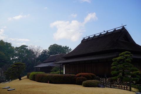 DSC04535