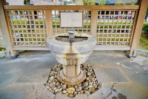 DSC05790