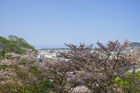 DSC04185