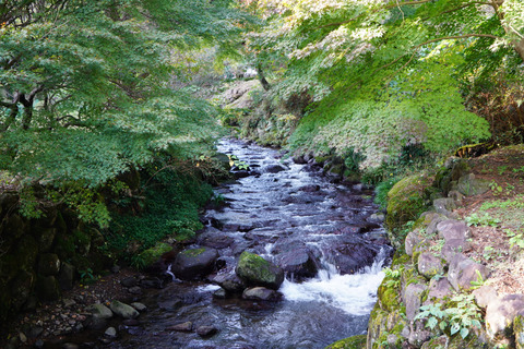 DSC01352