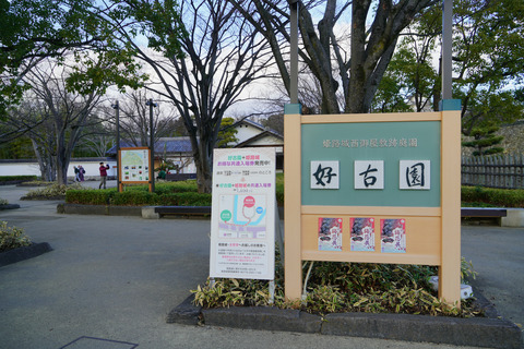 DSC04230